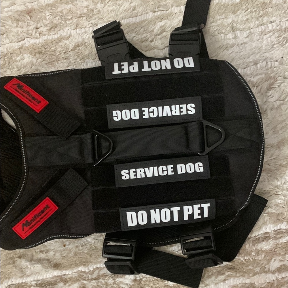 Black Service Dog Harness - Picture 3 of 16